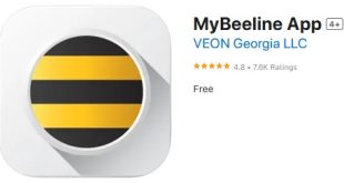 MyBeeline App The Ultimate Guide to Managing Your Mobile Data
