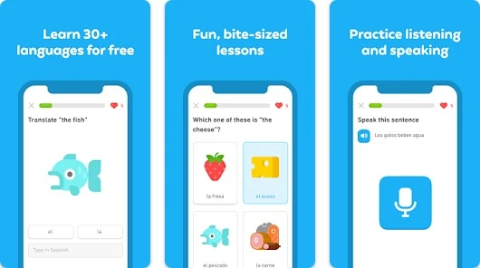 Best Language Learning Apps Duolingo